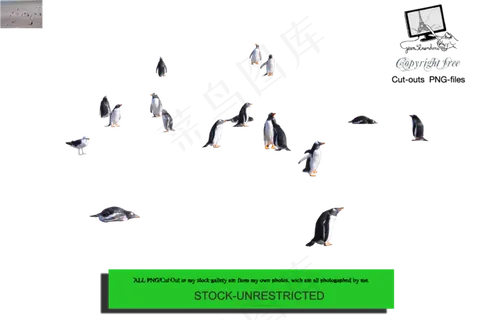 北极企鹅素材分层免扣大图