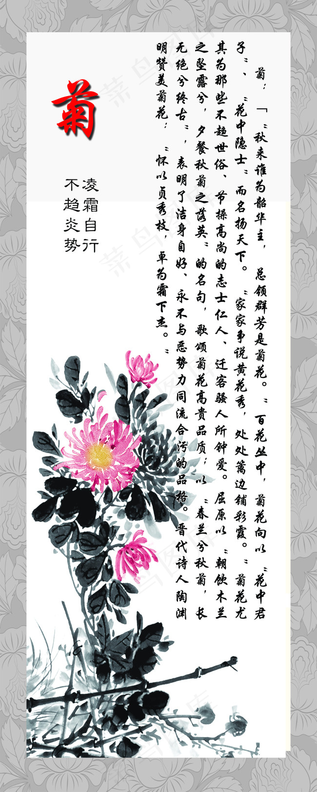 梅兰竹菊四君子菊psd模板psd模版下载