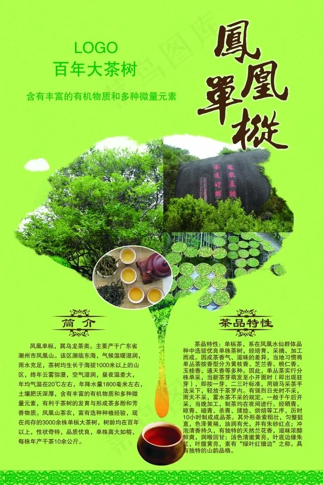 凤凰单丛(3543X5315(DPI:150))psd模版下载