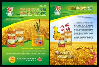 红锦天小麦控失肥宣传单