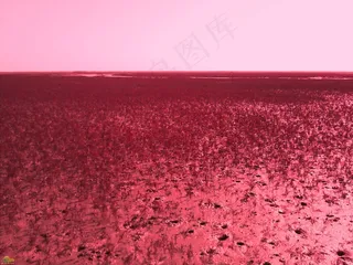 盘锦红海滩景观图片