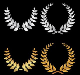 橄榄枝边框图片