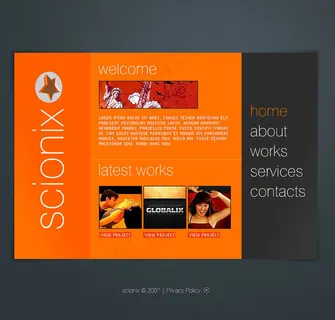 整站flash片头flash动画