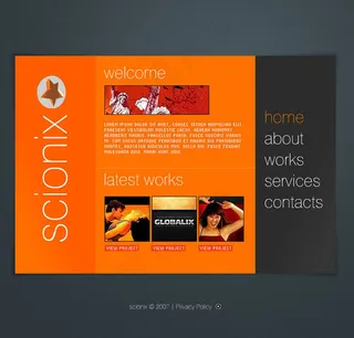 整站flash片头flash动画