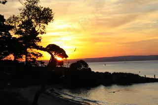 澳洲企鹅岛图片