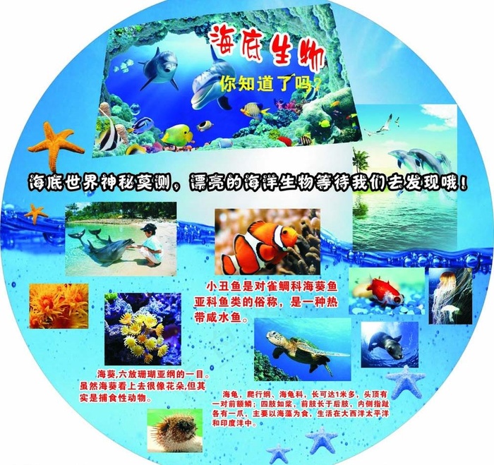 学校展板图片cdr矢量模版下载