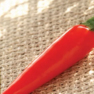 Fruits_235_效果图