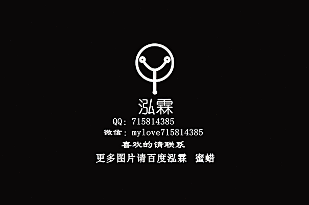 泓霖 有机宝石 琥珀图片