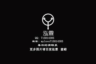 泓霖 有机宝石 琥珀图片