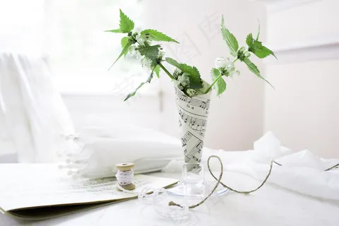 简约小清新文艺风插花静物摆拍背景 简约小清新文艺风插花静物摆拍背景