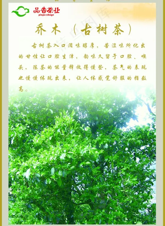 茶园图片
