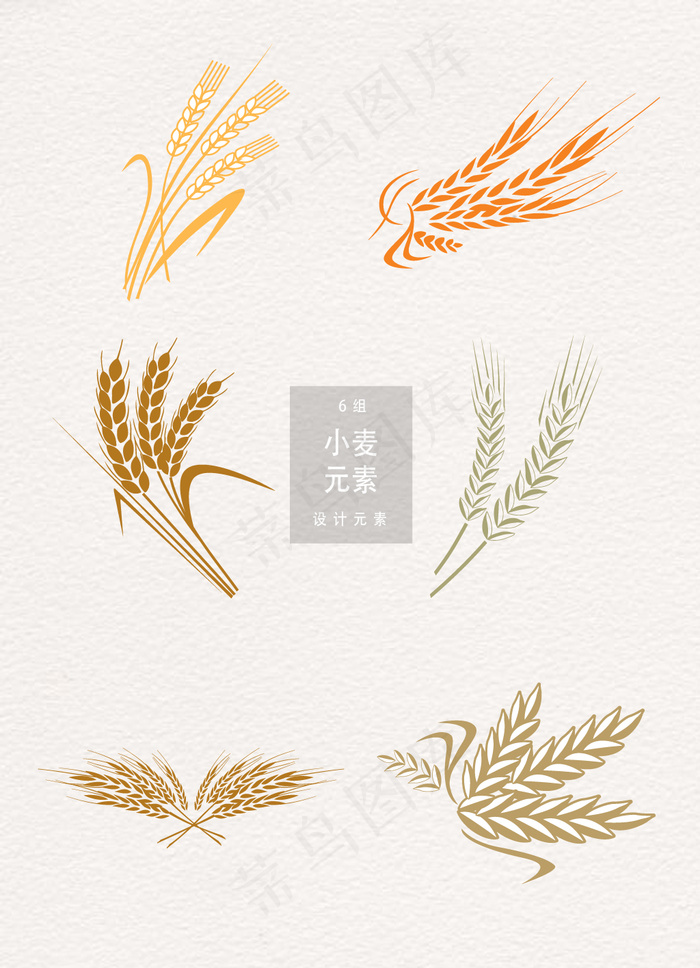 矢量手绘小麦插画