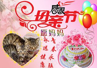 母亲节图片