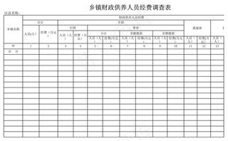 乡镇财政供养人员经费调查表