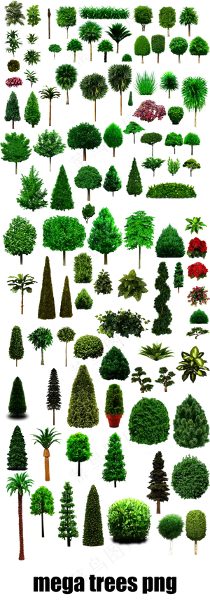 春天绿色园林树木装饰设计图