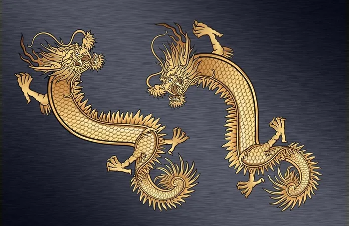 龙(2807X1974(DPI:300))psd模版下载