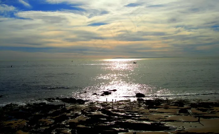 洛杉矶的黄昏图片