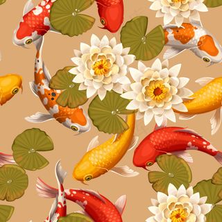 荷花和锦鲤背景