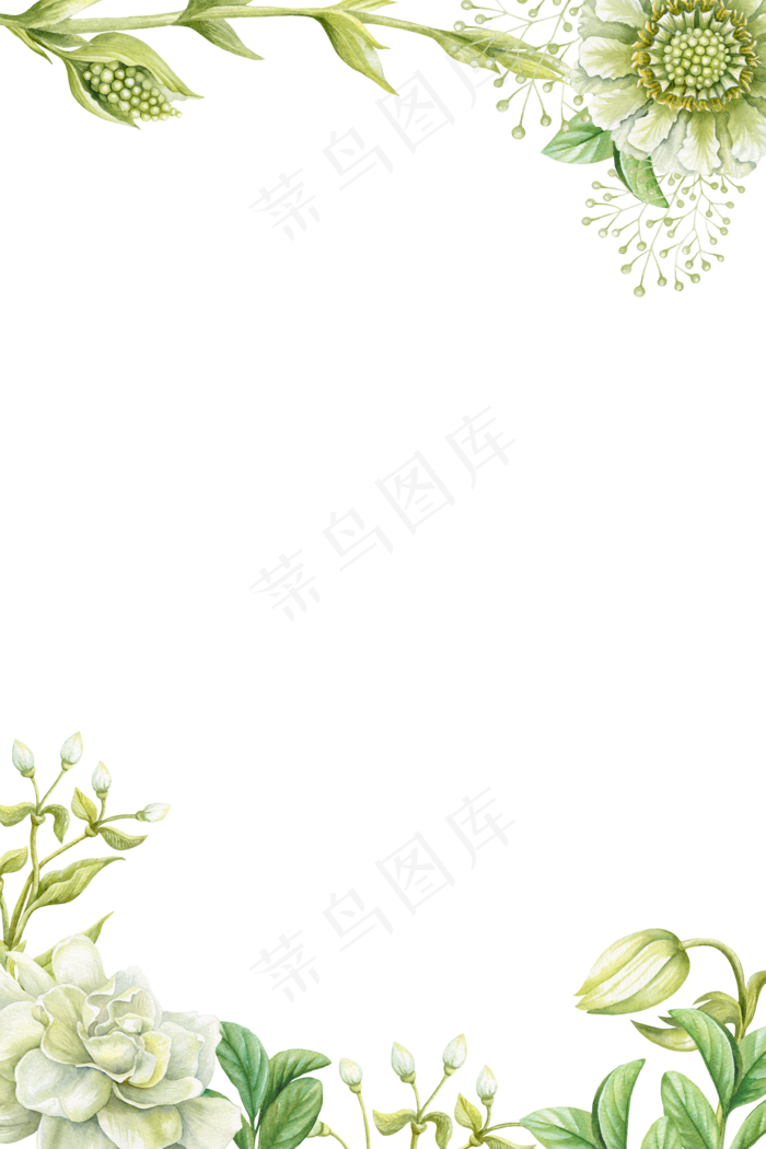 绿色手绘花朵边框