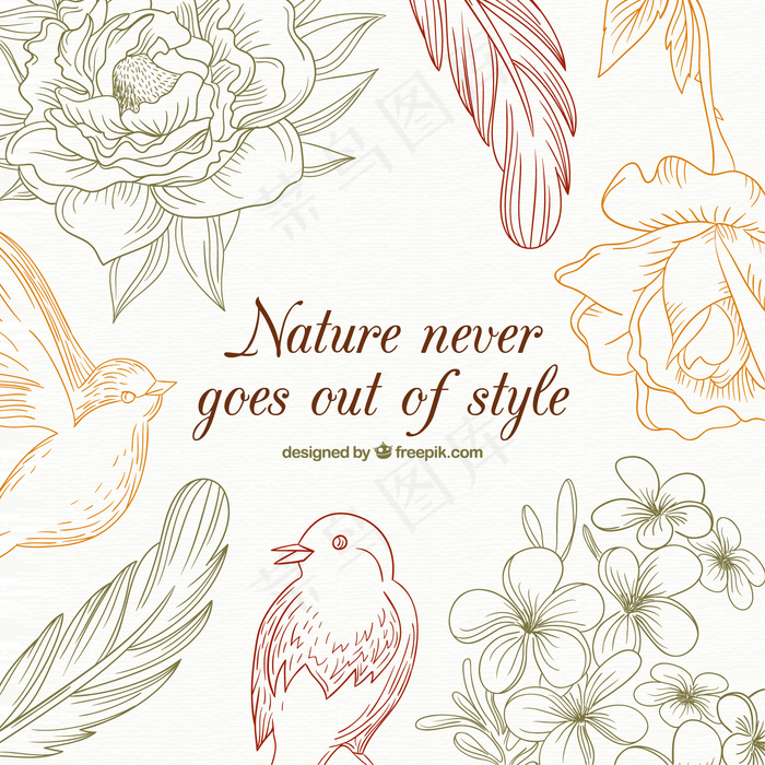 花鸟矢量图