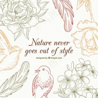 花鸟矢量图