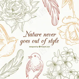 花鸟矢量图