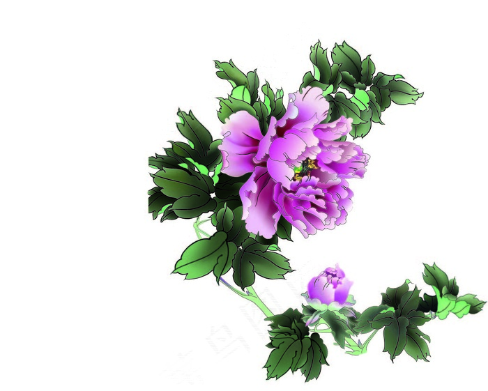 精美牡丹矢量图