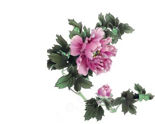 精美牡丹矢量图