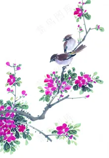 中国花鸟画 中国花鸟画