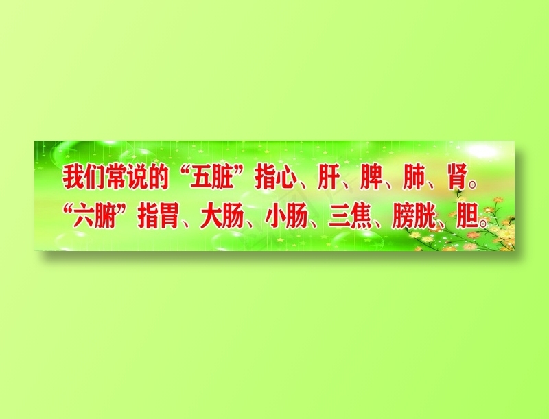 五脏六腑psd模版下载