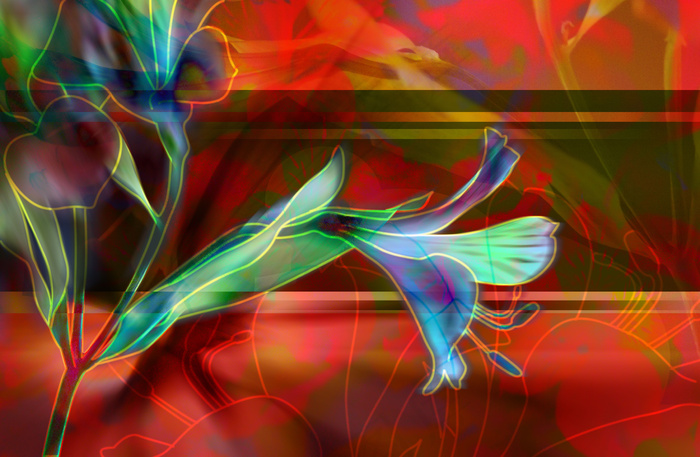 花卉背景创意设计图图片