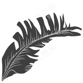 手绘线稿树叶花卉箭头PNG免扣素材