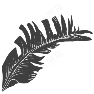 手绘线稿树叶花卉箭头PNG免扣素材