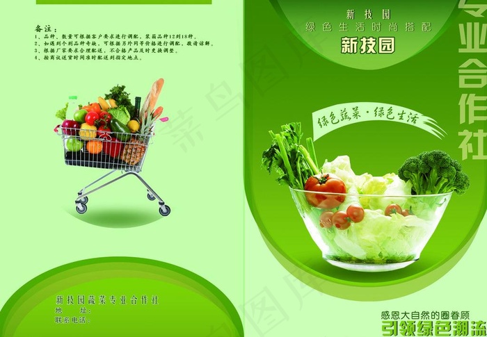 蔬菜图片(4961X3720(DPI:450))psd模版下载