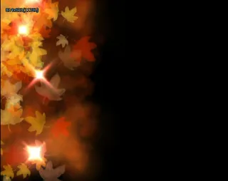 梦幻枫叶动态视频素材