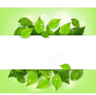 精美绿叶花纹边框设计矢量素材