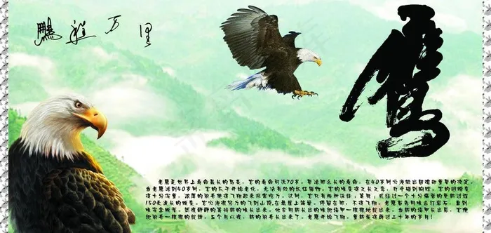 鹏程万里图片cdr矢量模版下载