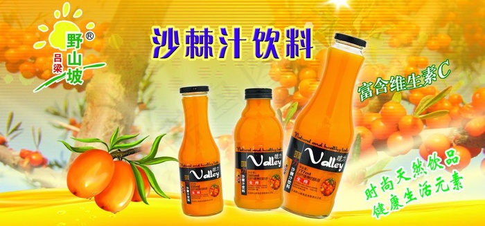 沙棘汁饮料单页图片psd模版下载