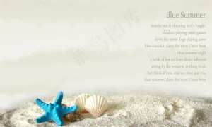 海星图片