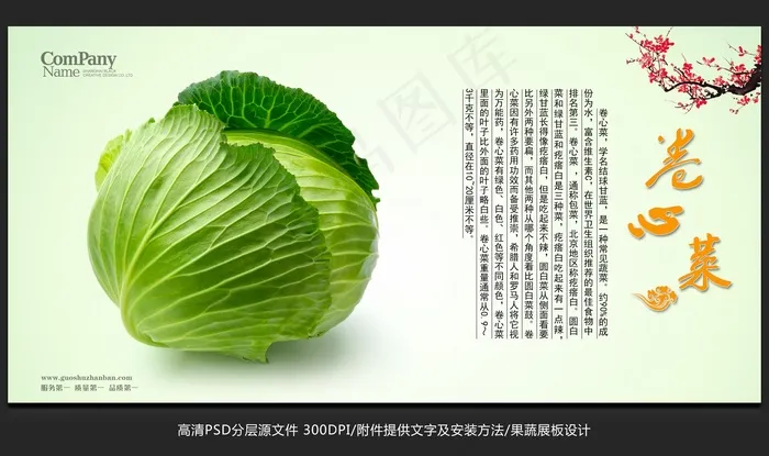 蔬菜展板设计卷心菜海报招贴广告设计psd模版下载