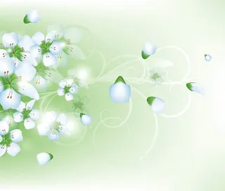 白色盛开的小花