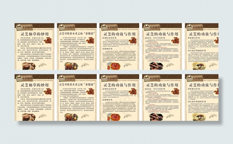 灵芝茶 功效图片