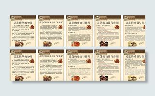 灵芝茶 功效图片