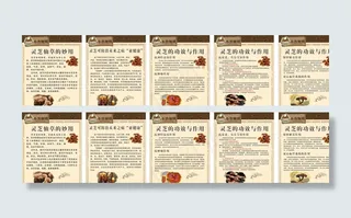 灵芝茶 功效图片