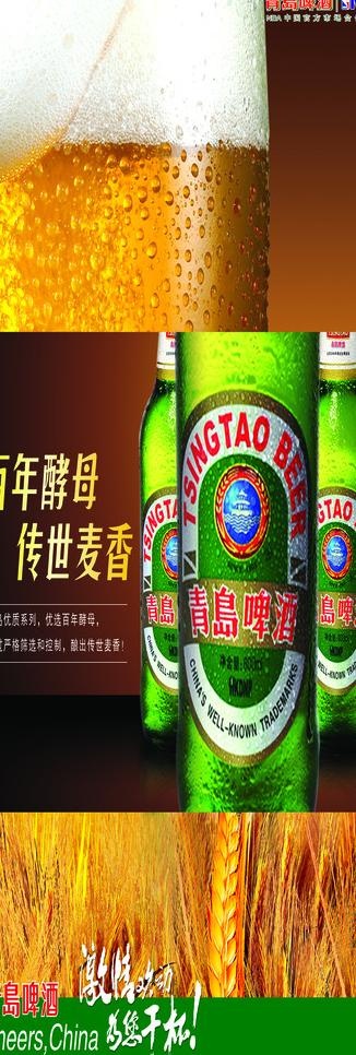 青岛啤酒图片