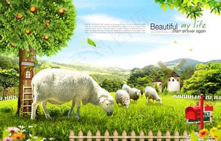 草原上的羊群图片psd分层素材