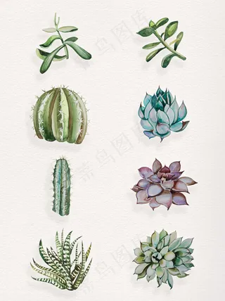 手绘绿色多肉卡通透明素材合集