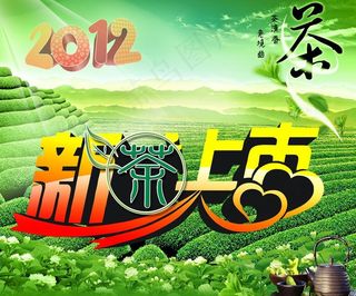 新茶上市图片