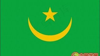 矢量菲林格尔地板标志