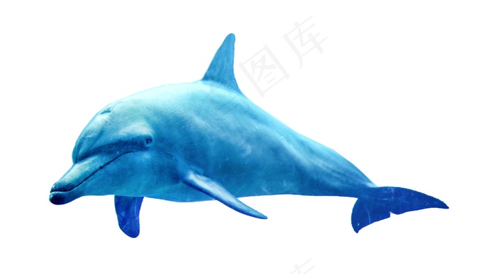 海豚免抠素材PSD分层 
